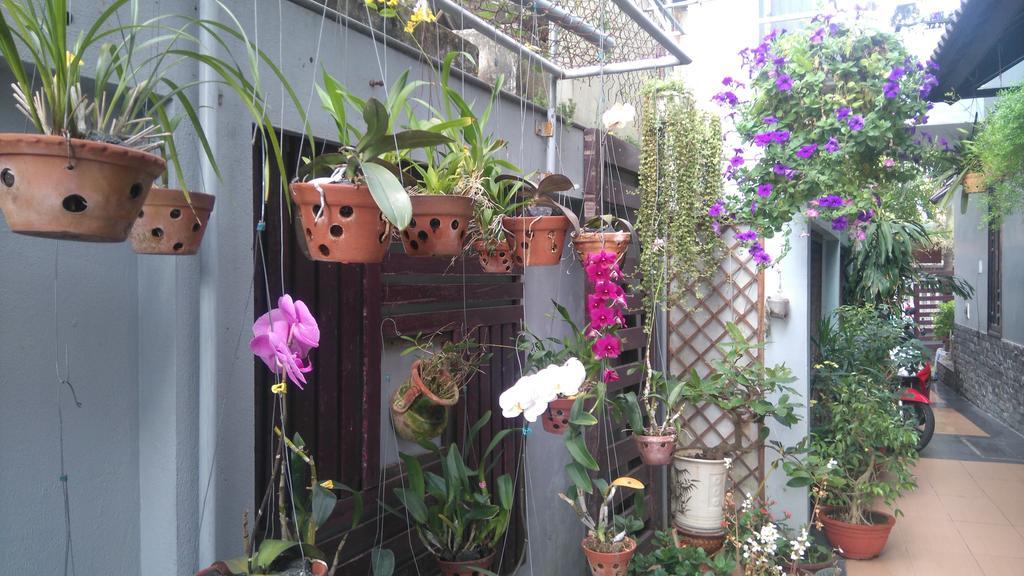 Green Coco Homestay Hoi An Exterior foto